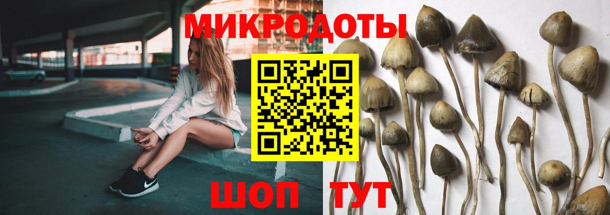 Стерлитамак  Галлюциногенные грибы Magic Shrooms  Вход с VPN  Псилоцибиновые грибы ЛСД 